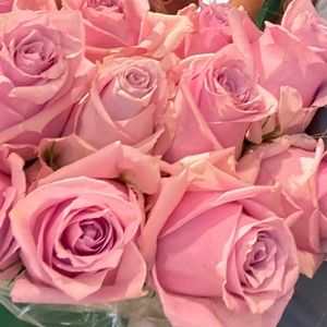 Meet your Posher, Lexy